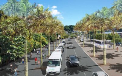 BHNS de Mayotte, projet CARIBUS, Colas